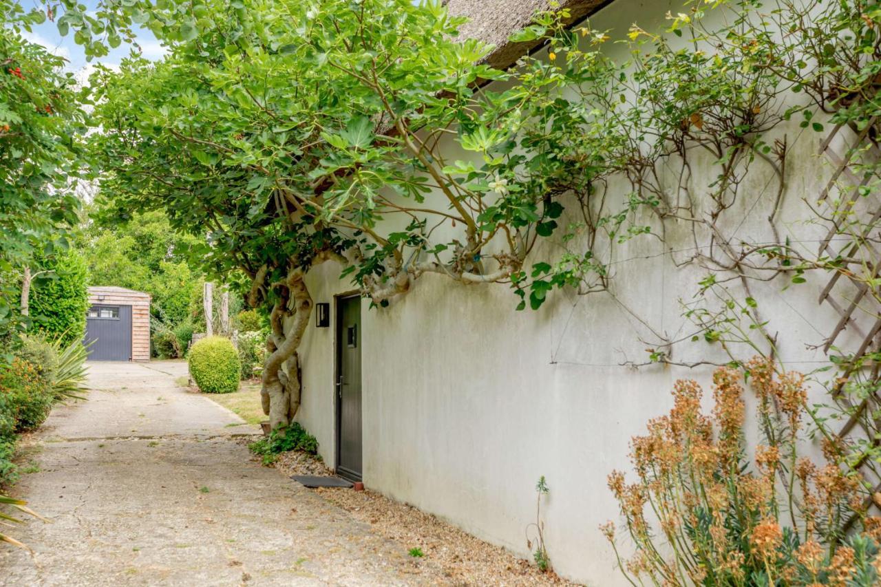 Little Thatch Lovely 2-Bed Near Weymouth Radipole 외부 사진
